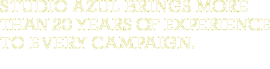 Studio Azul brings more than 20 years of experince to every campaign.